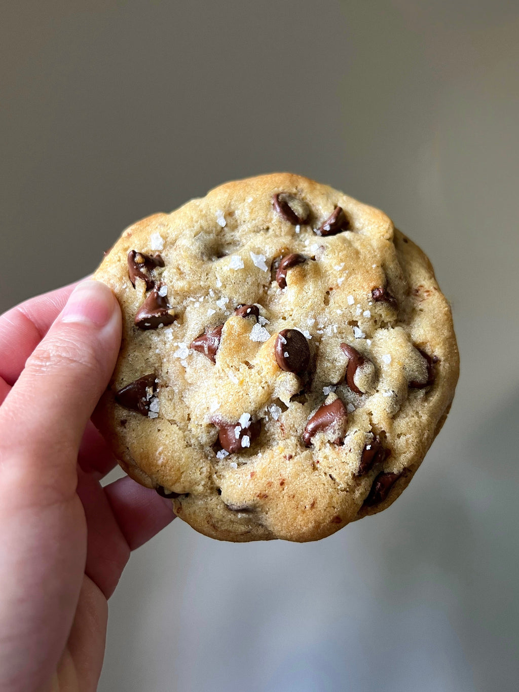 Chocolate Chip Cookies (8-pack)