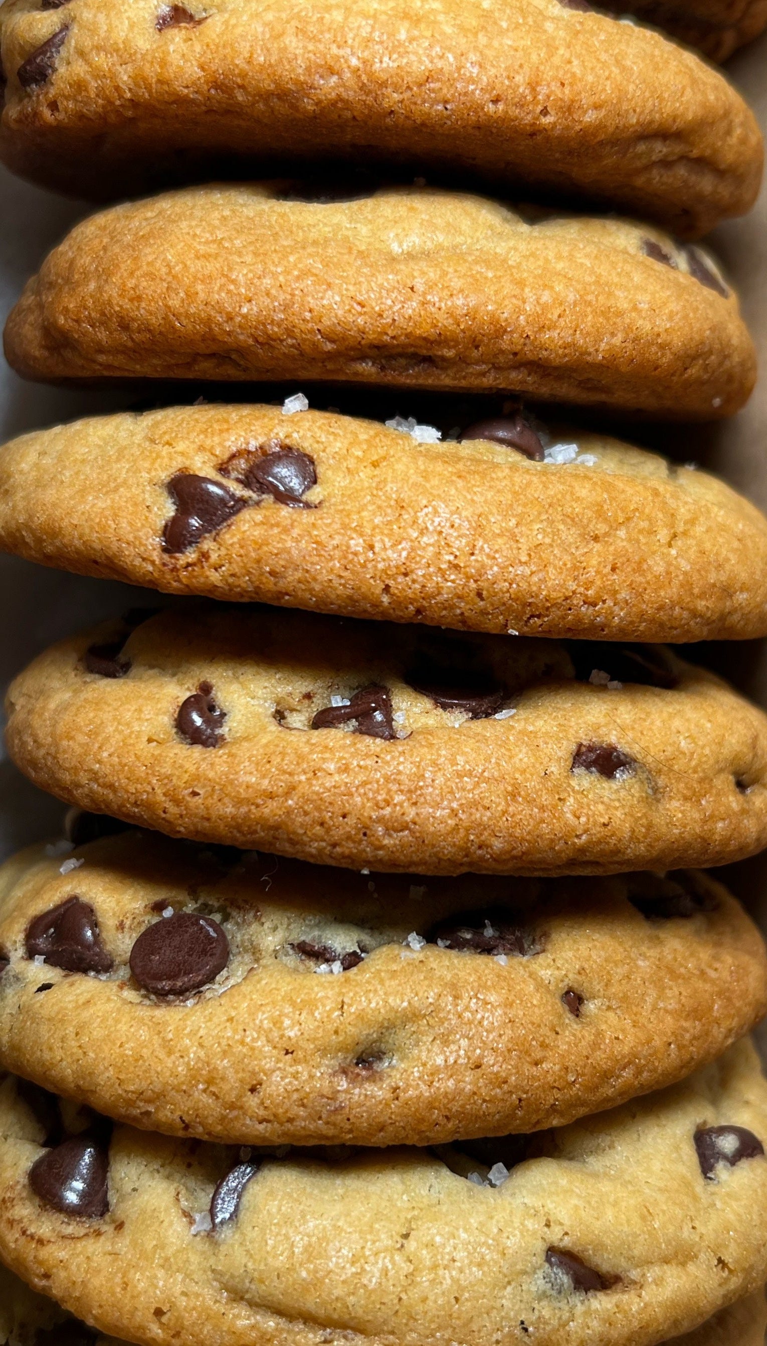 Row of chocolate chip cookies with a close-up view