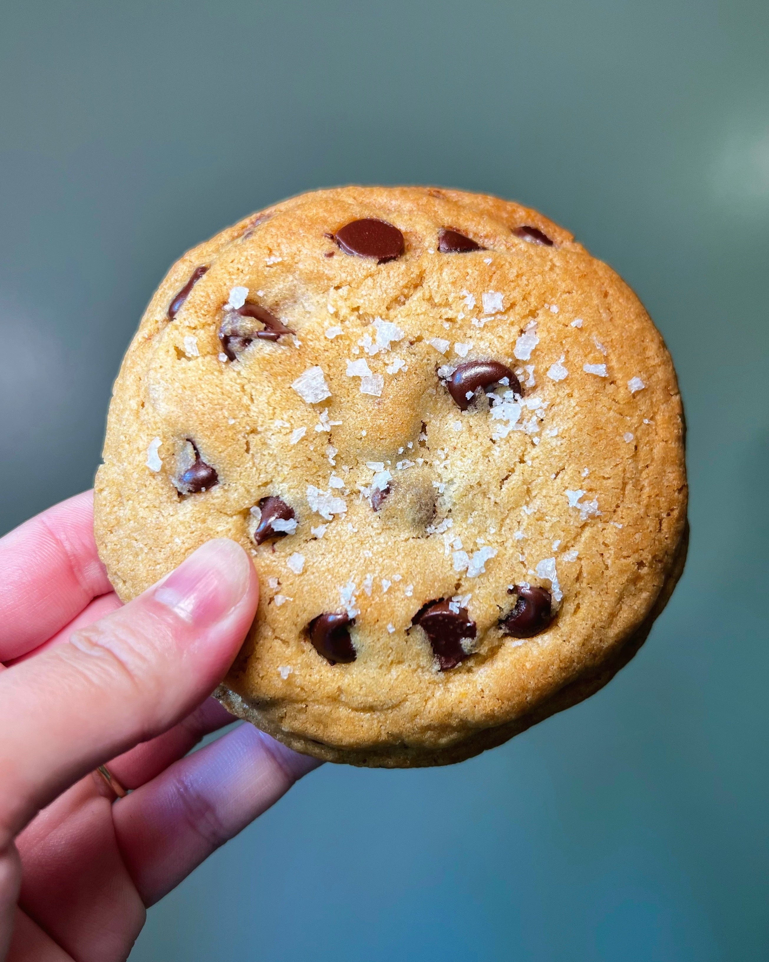 Chocolate Chip Cookies (8-pack)