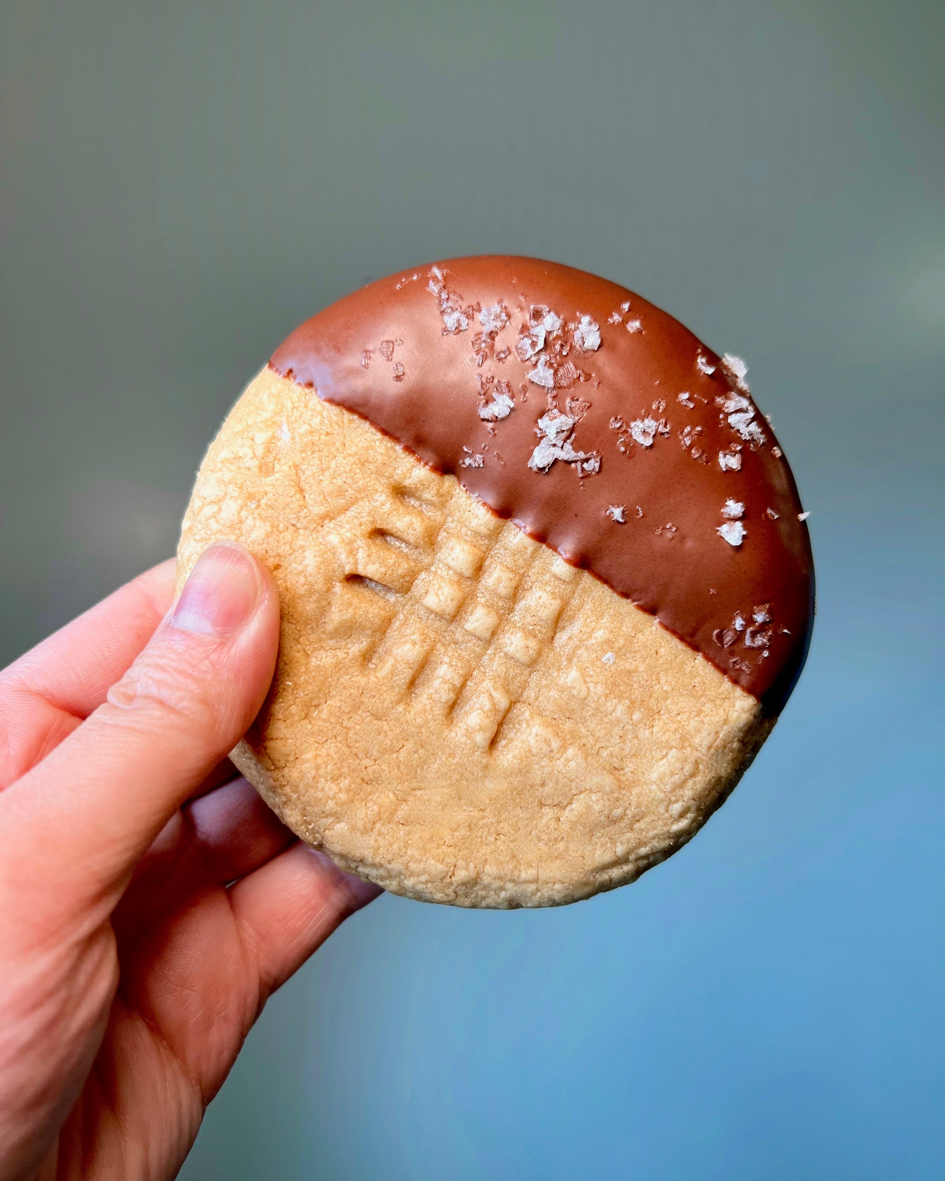 Hand holding a Peanut Butter Cookie with chocolate-dipped half and crisscross pattern and seasalt